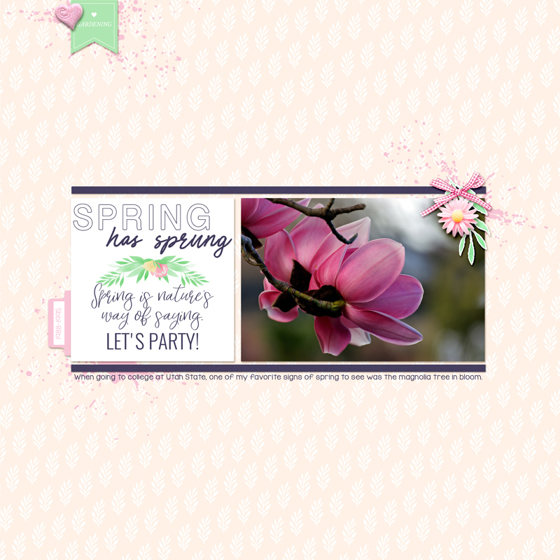 Spring-has-sprung