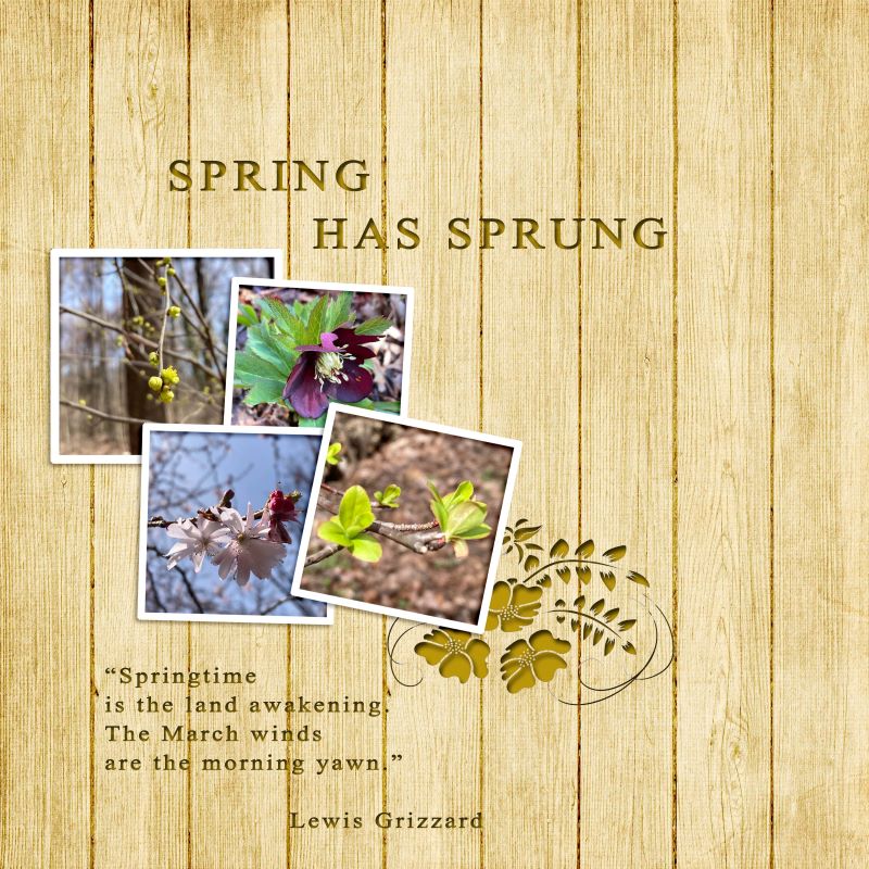 Spring Has Sprung