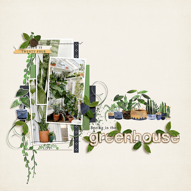 Spring In The Greenhouse