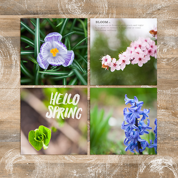 Spring Macros