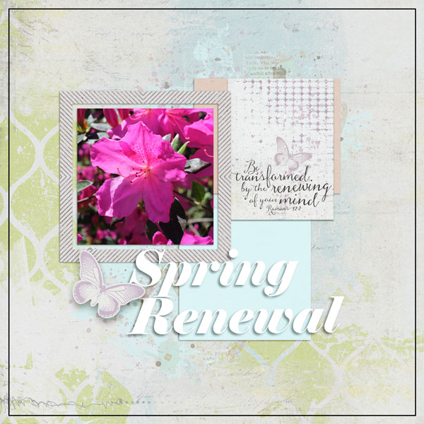 Spring-Renewal