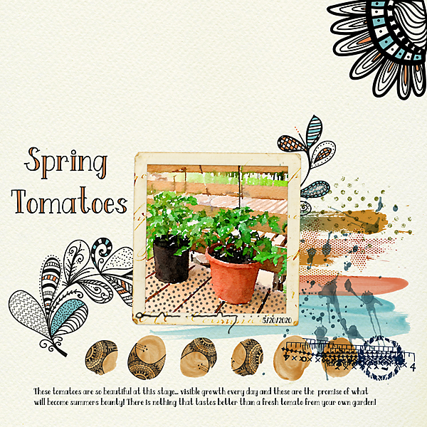 Spring Tomatoes MOC Day 16