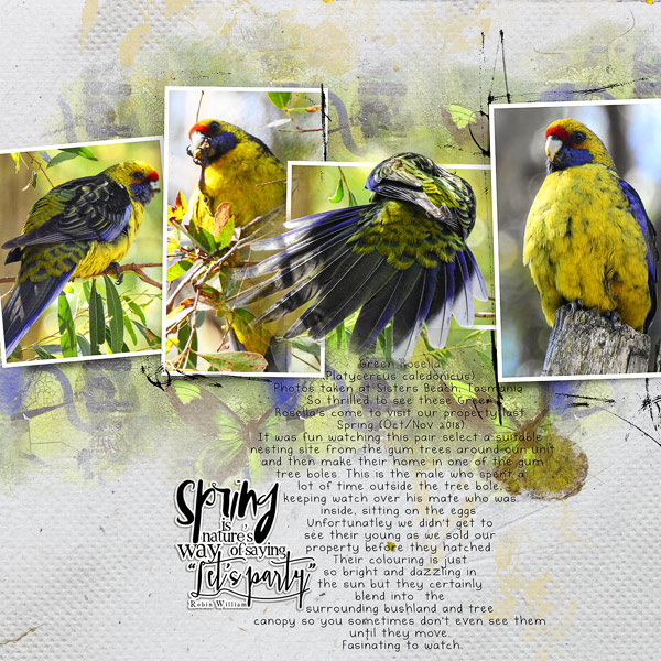 SPRING