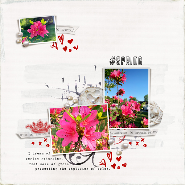 #SPRING