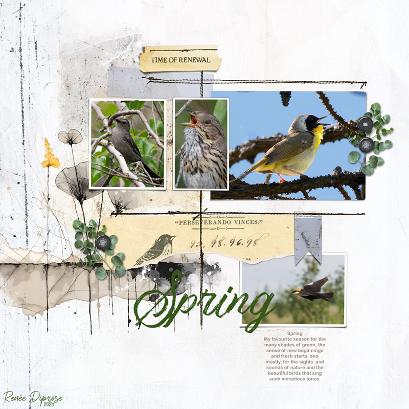 Spring