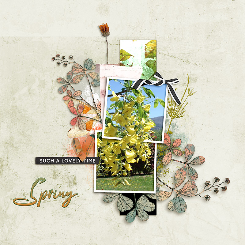 Spring