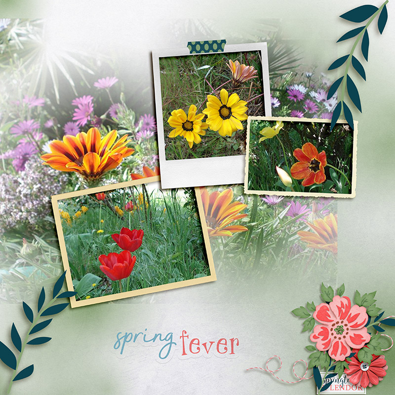 Spring