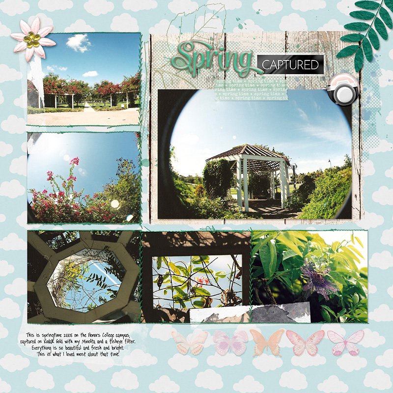 springtime 2008