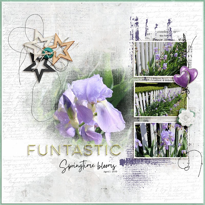 Springtime Blooms
