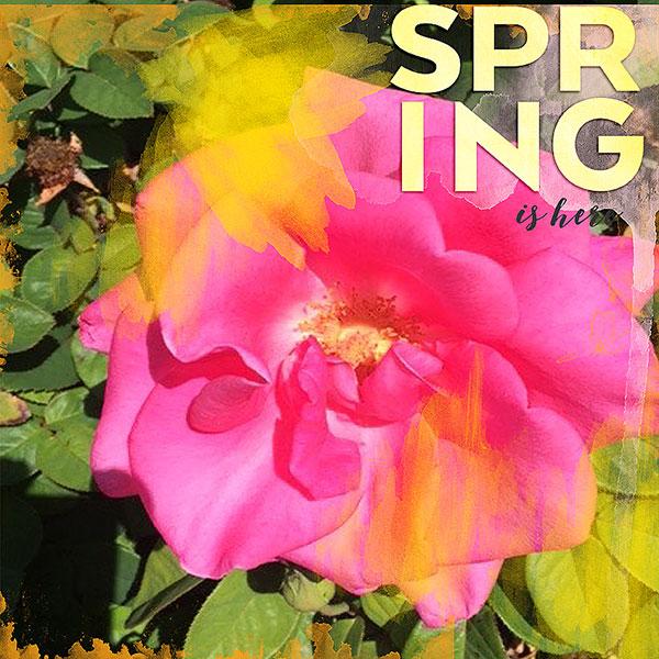 SpringWeb
