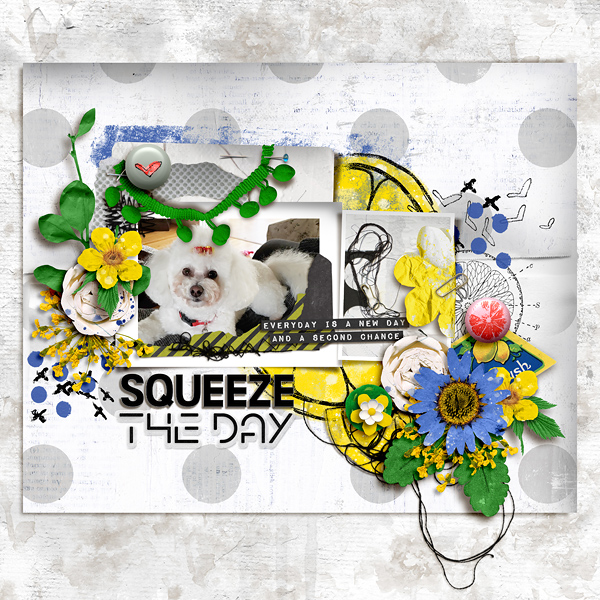 Squeeze The Day