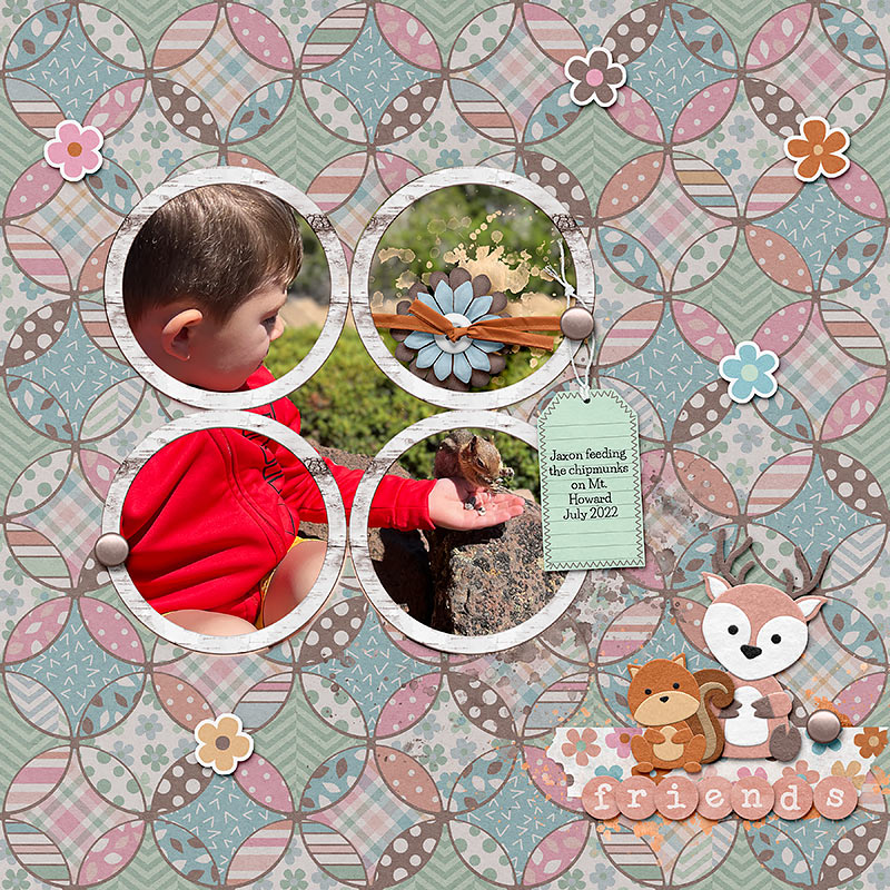 Squirrel-friends