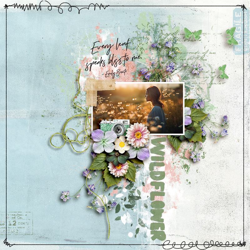 SS_may3_LM_NBK_Wildflower