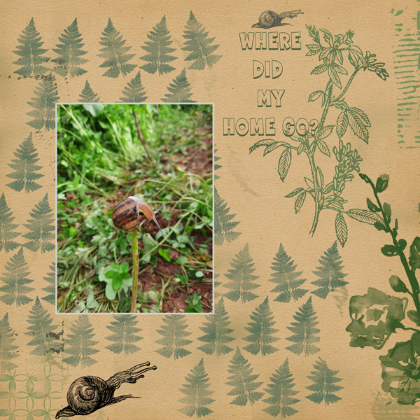STAMPED-19