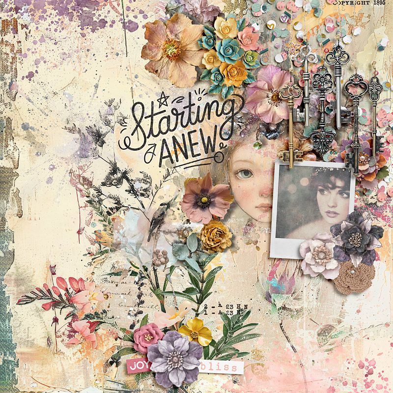 Starting anew