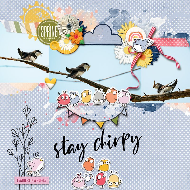 Stay Chirpy