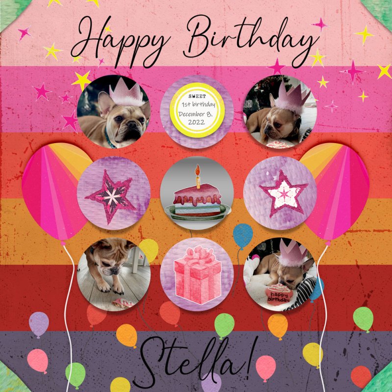 Stella Turns 1!