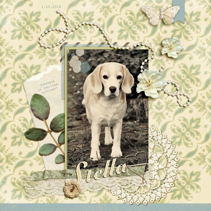 Stella