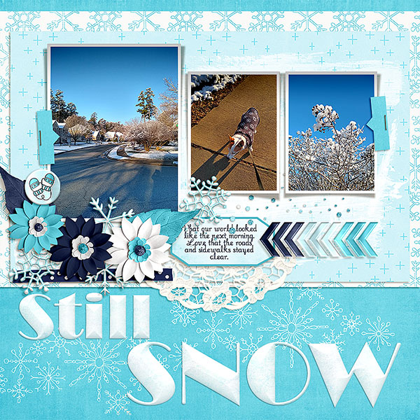 Still Snow MOC Jan 26