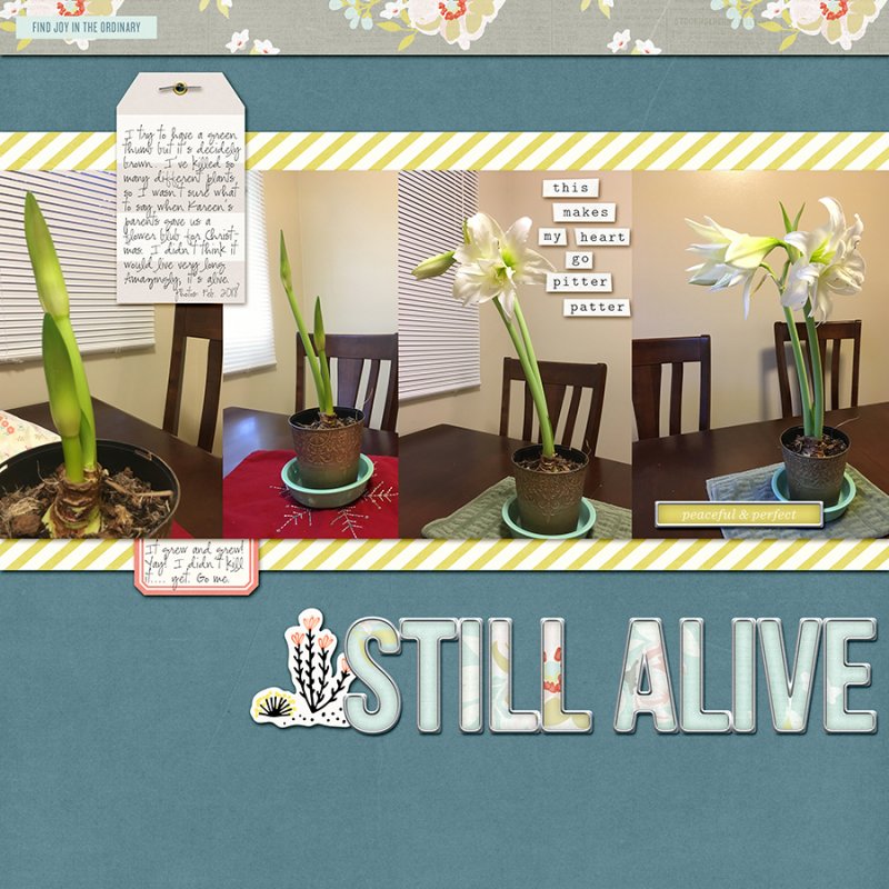 StillAliveMarch2018SC
