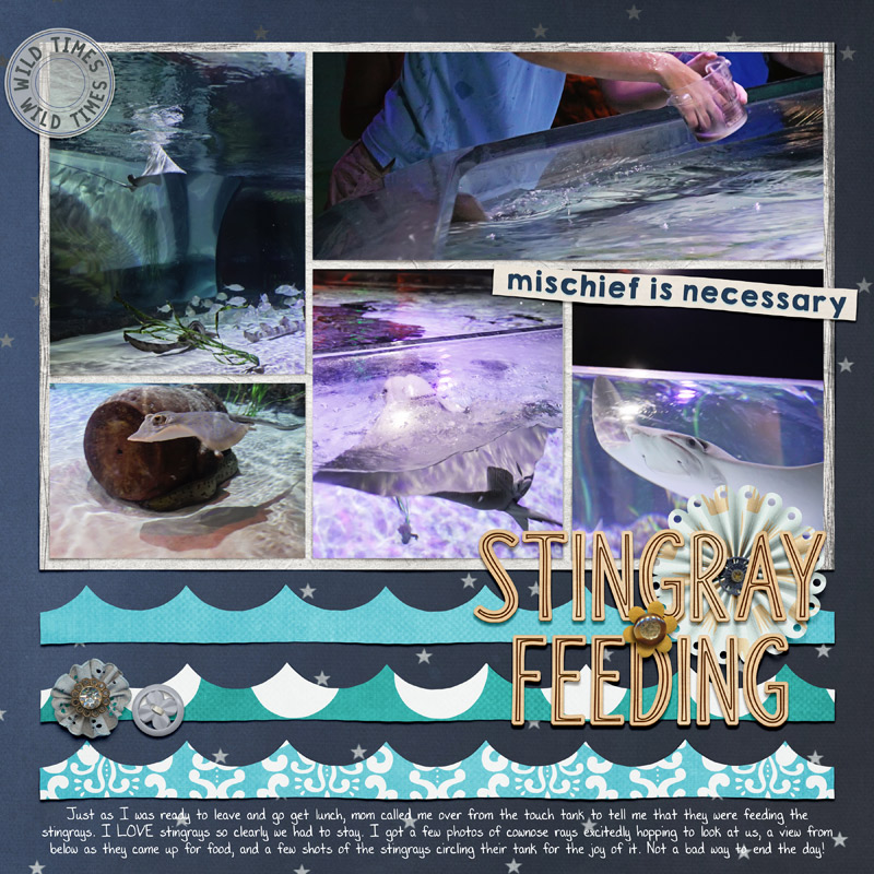 stingray feeding