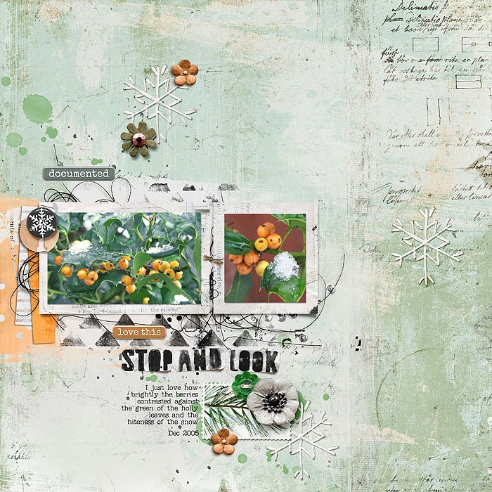 Stop and Look.jpg