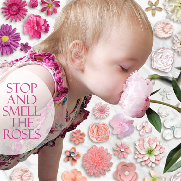 Stop And Smell The Roses | MOC 9.4