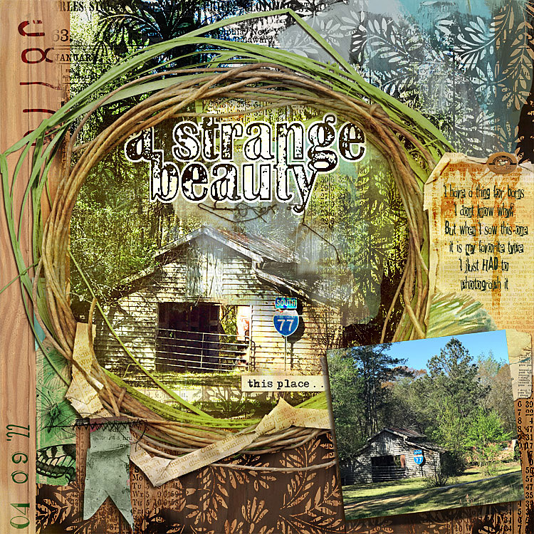 Strange Beauty  AJMuse3April22