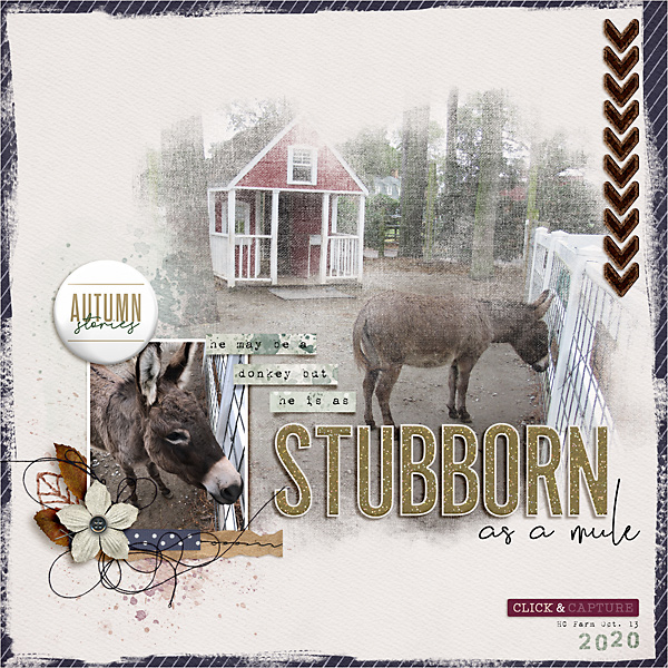 Stubborn