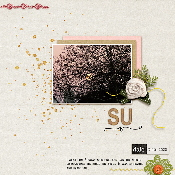 SU