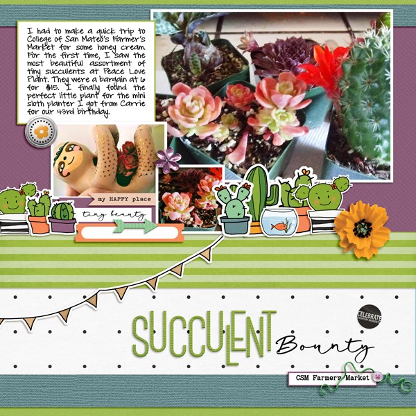 Succulent Bounty