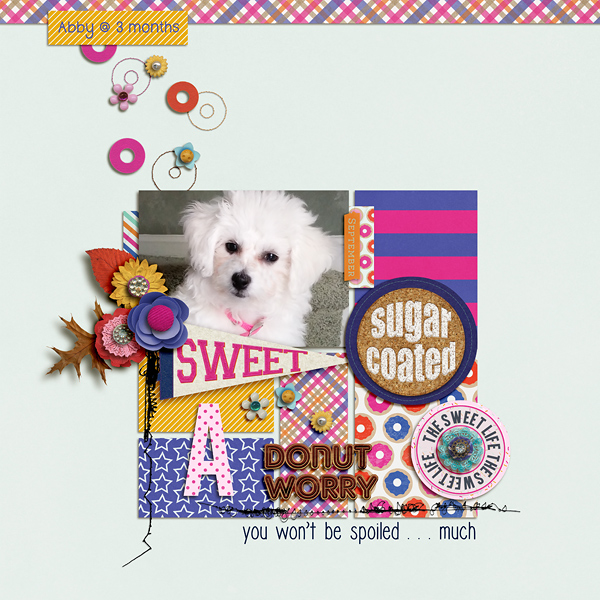 Sugar Coated