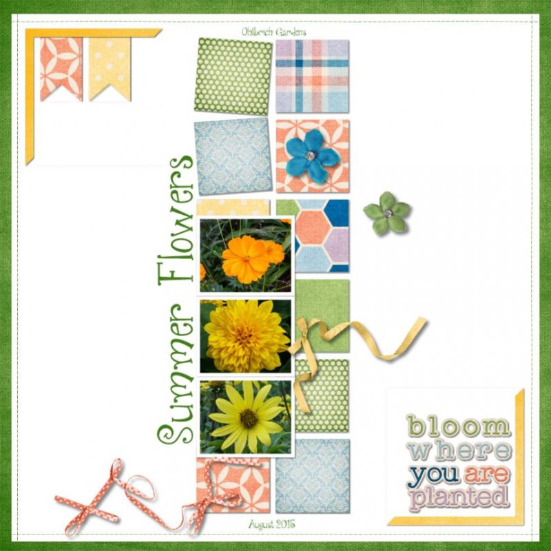 Summer Flowers