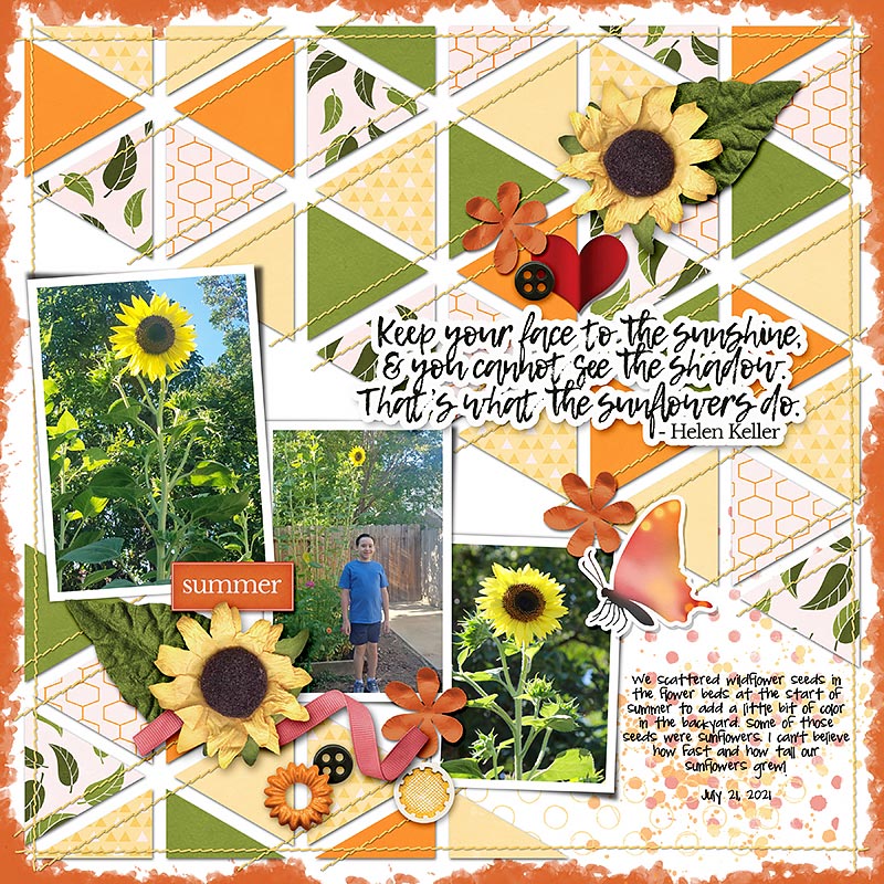 Summer Sunflowers