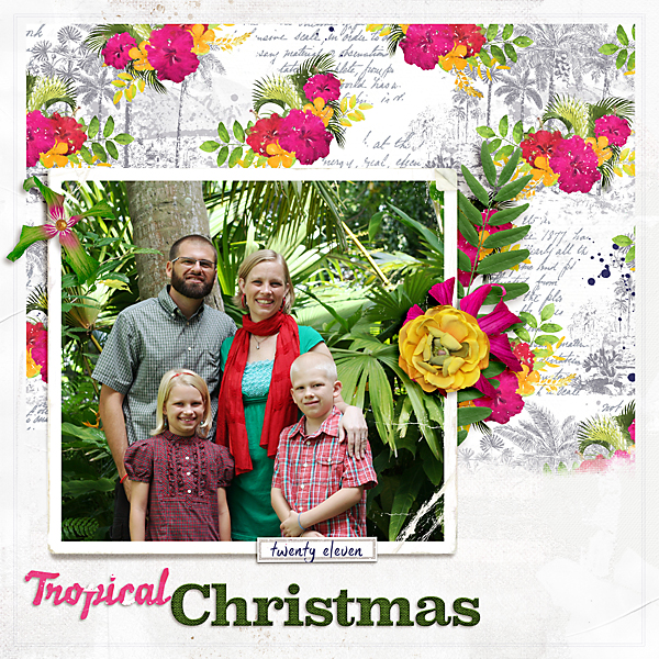 SummerSchool2021_Week4_TropicalChristmas