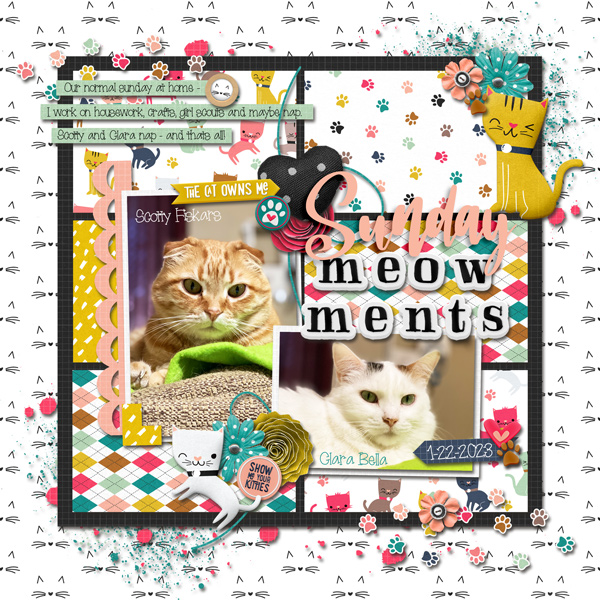 Sunday Meow-ments