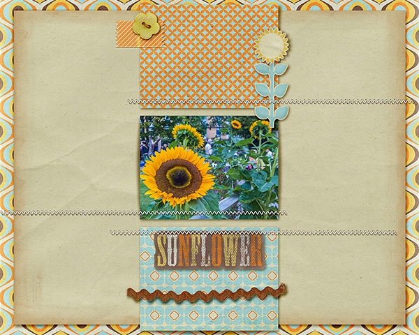 Sunflower