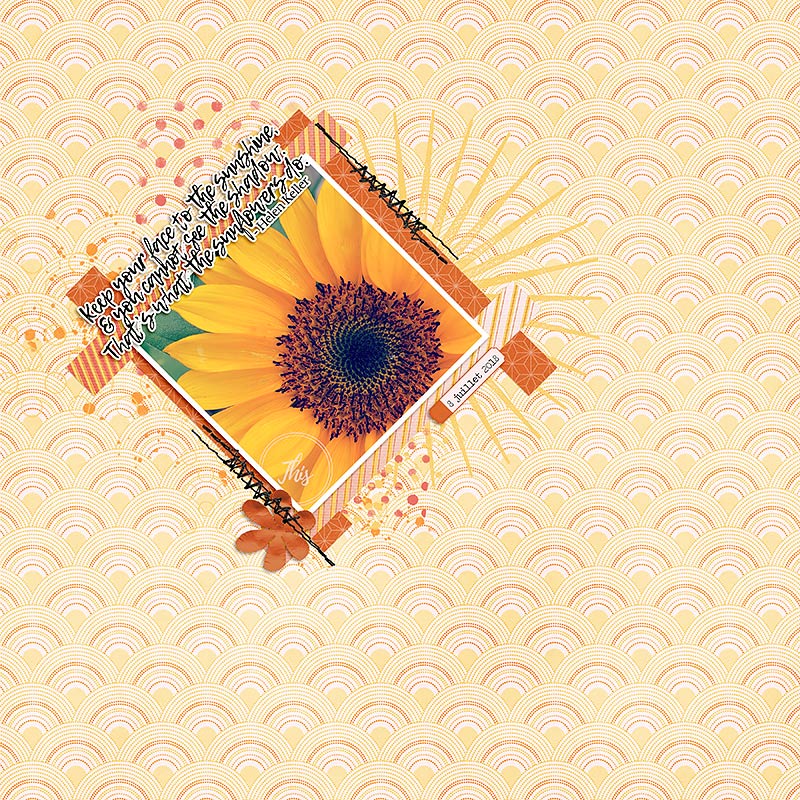 Sunflower