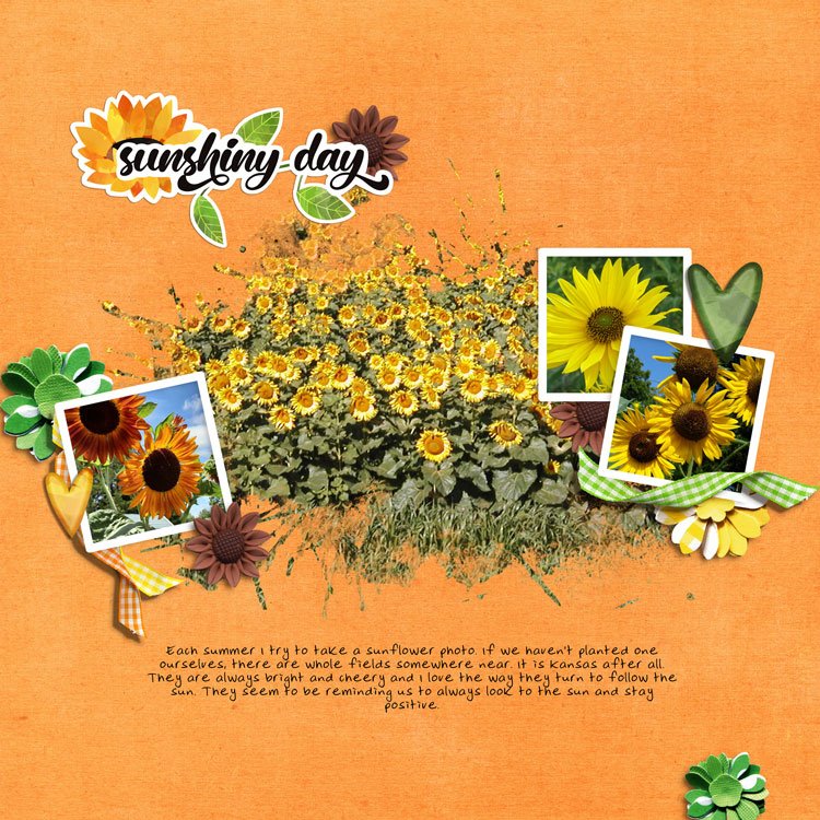 sunflowers.jpg