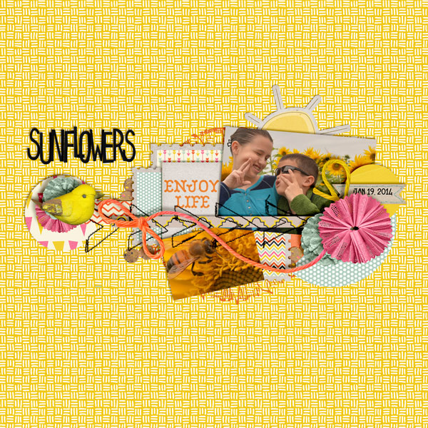 Sunflowers