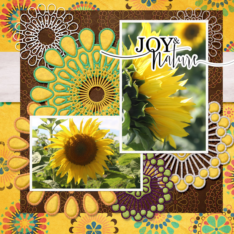 Sunflowers