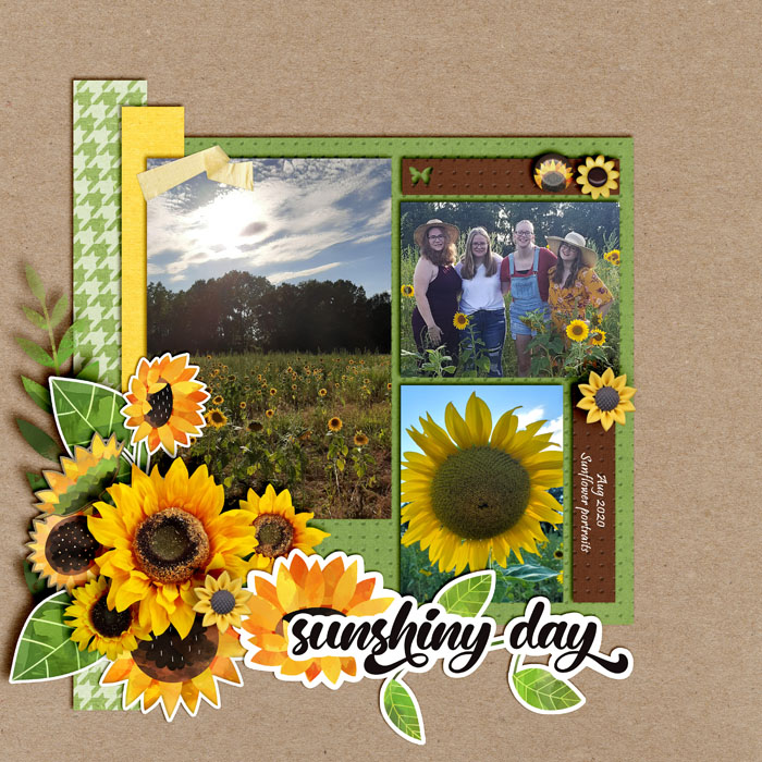 Sunflowers