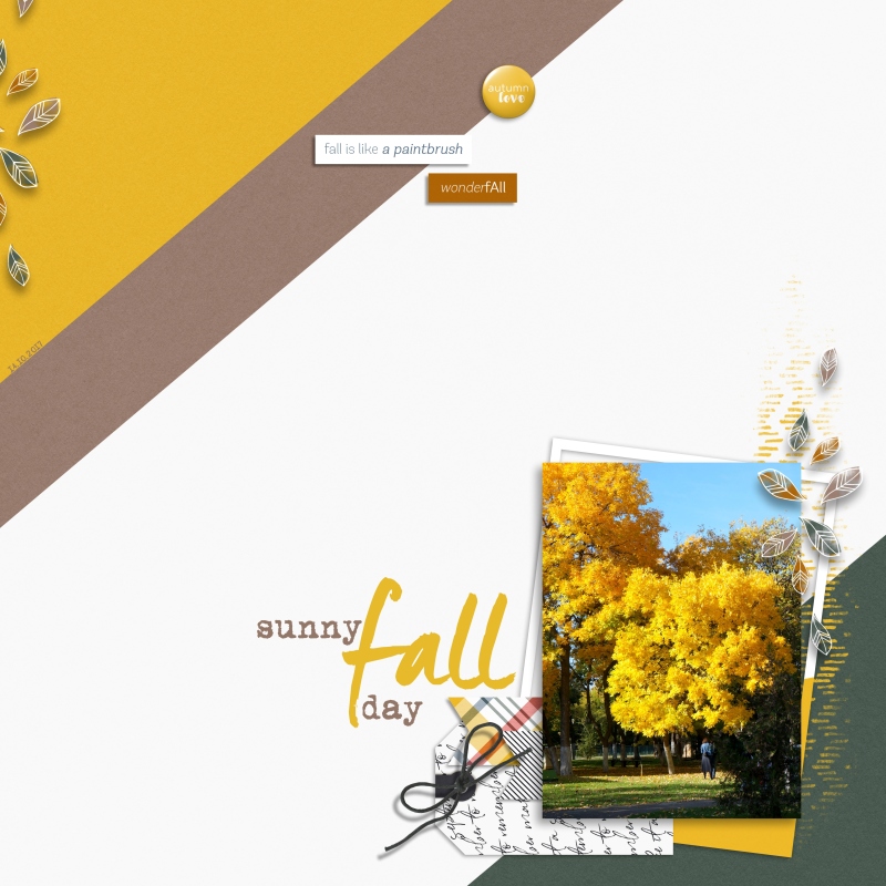 Sunny Fall Day