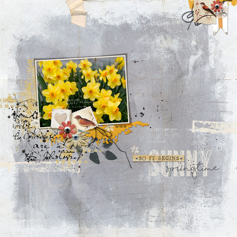 Sunny-springtime