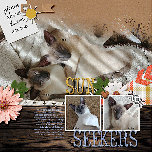 SunSeekers