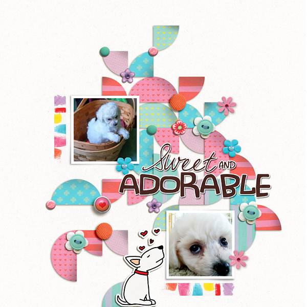 Sweet & Adorable