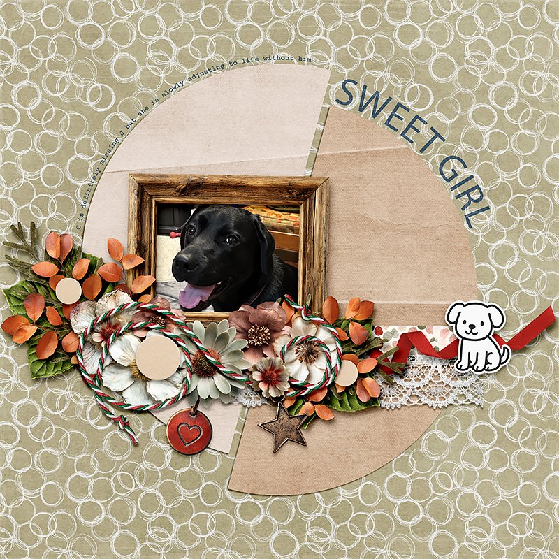 Sweet Girl