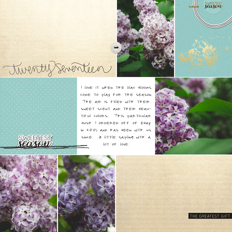 Sweetest-Season