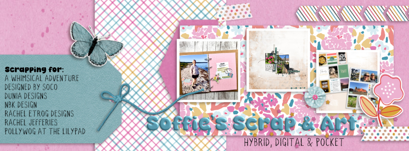 SwL_CoverTemplate11-ngdRE-BonaFide
