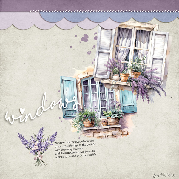 SwL_windows